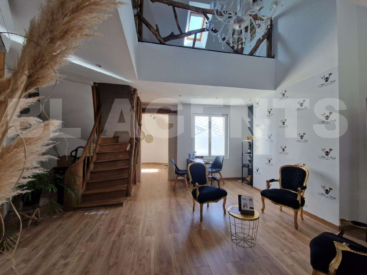 for sale castle Château-la-Vallière Indre-et-Loire 1