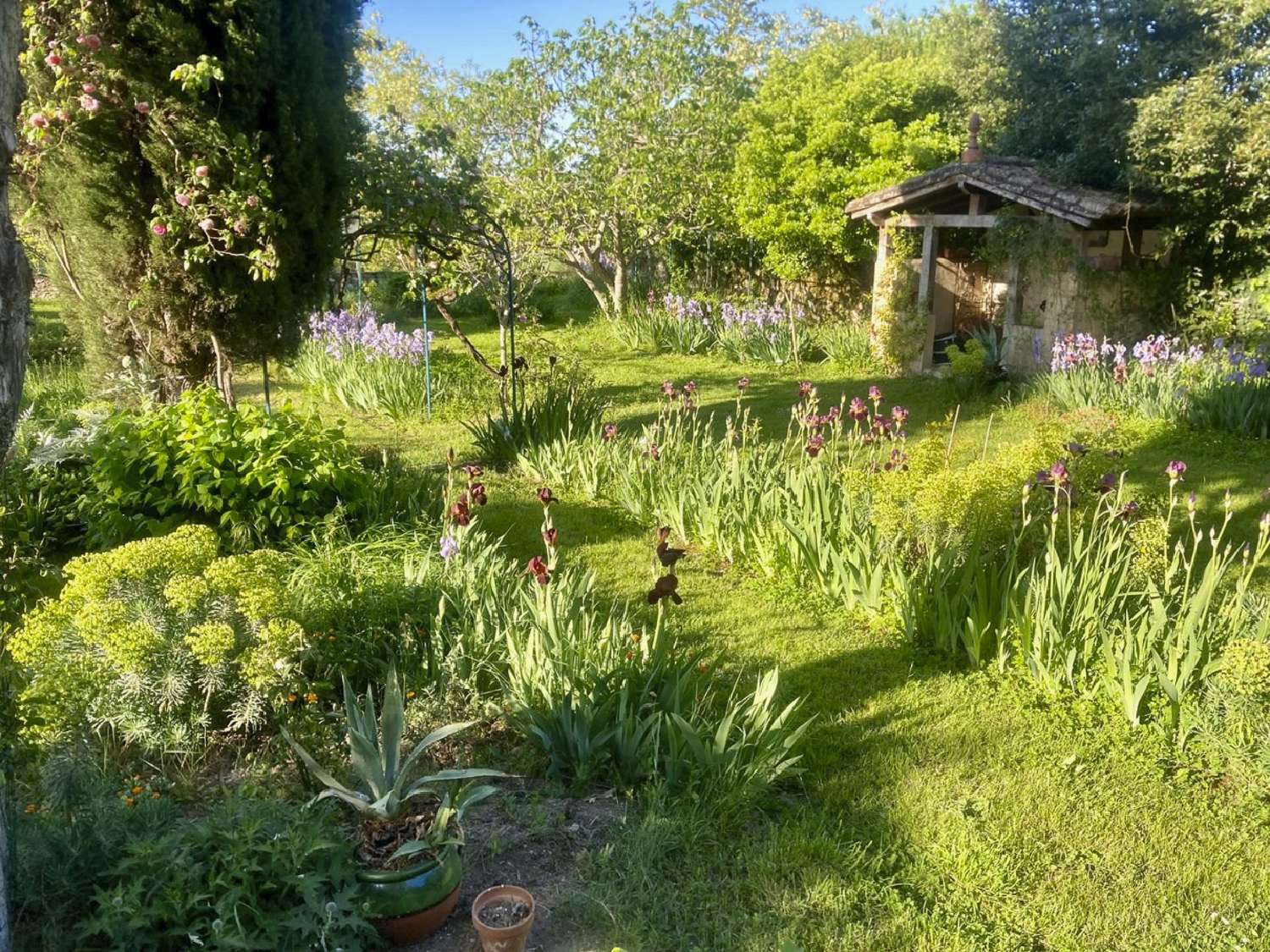  te koop stadshuis Lectoure Gers 2