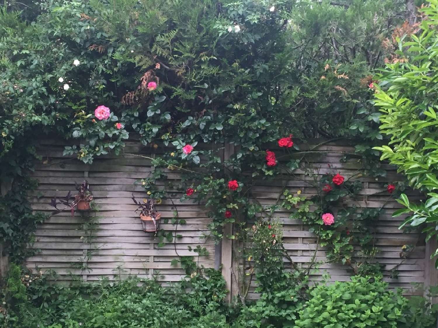  for sale city house Reims Marne 7