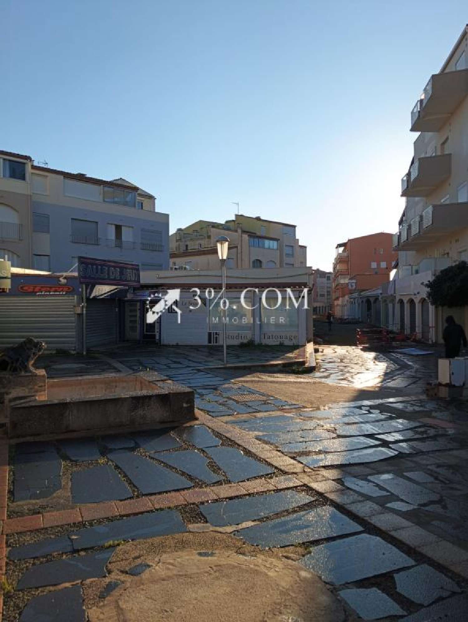  te koop bedrijfsruimte/ kantoor Agde Hérault 1