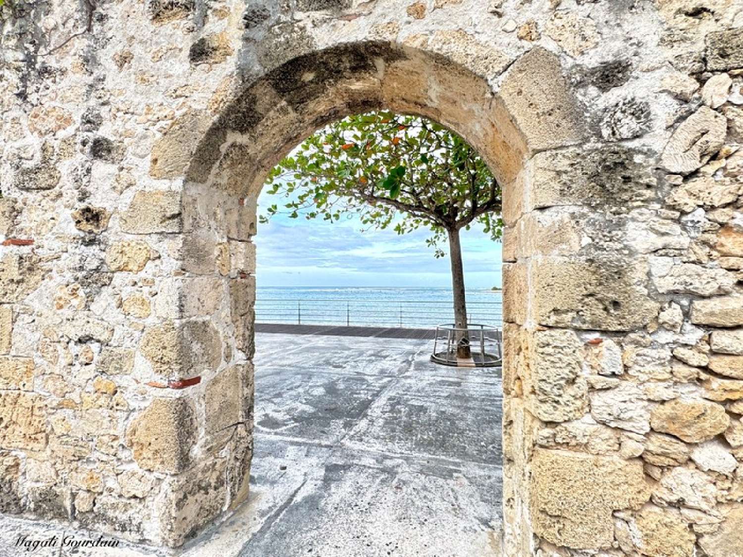  te koop bedrijfsruimte/ kantoor Le Moule Guadeloupe 6