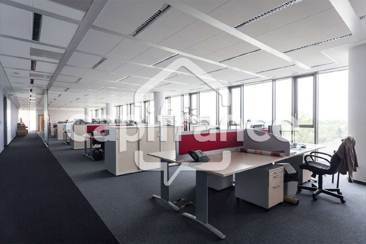  te koop bedrijfsruimte/ kantoor Meximieux Ain 2