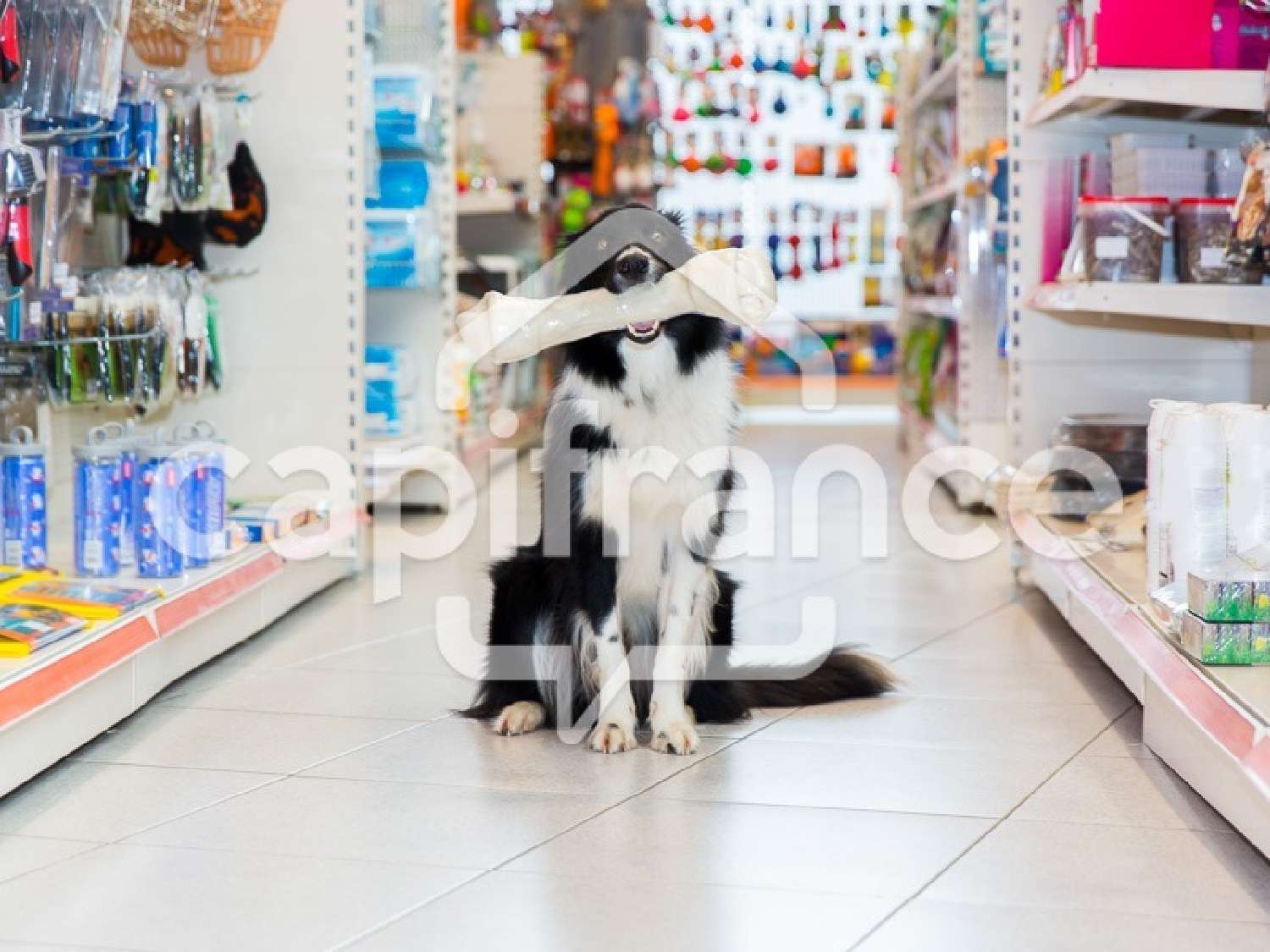  kaufen Gewerbeimmobilie Meximieux Ain 5