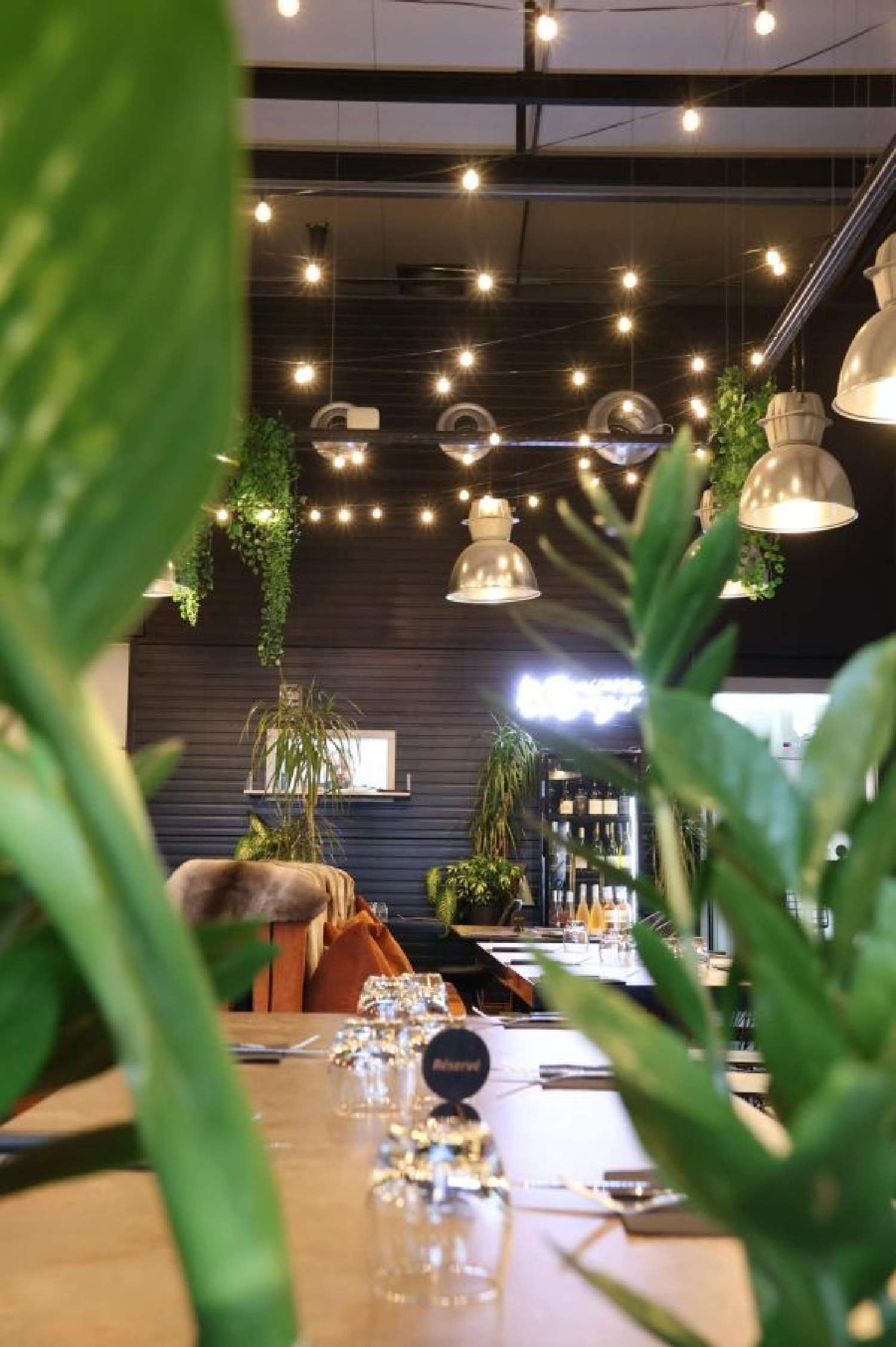  te koop bedrijfsruimte/ kantoor Perpignan Pyrénées-Orientales 3