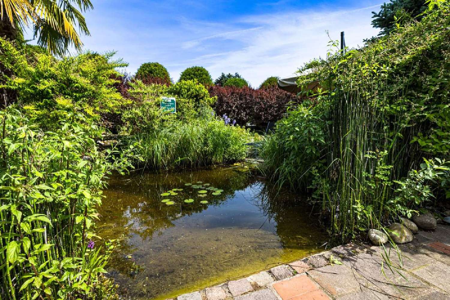  à vendre commerce Verdun-sur-le-Doubs Saône-et-Loire 2