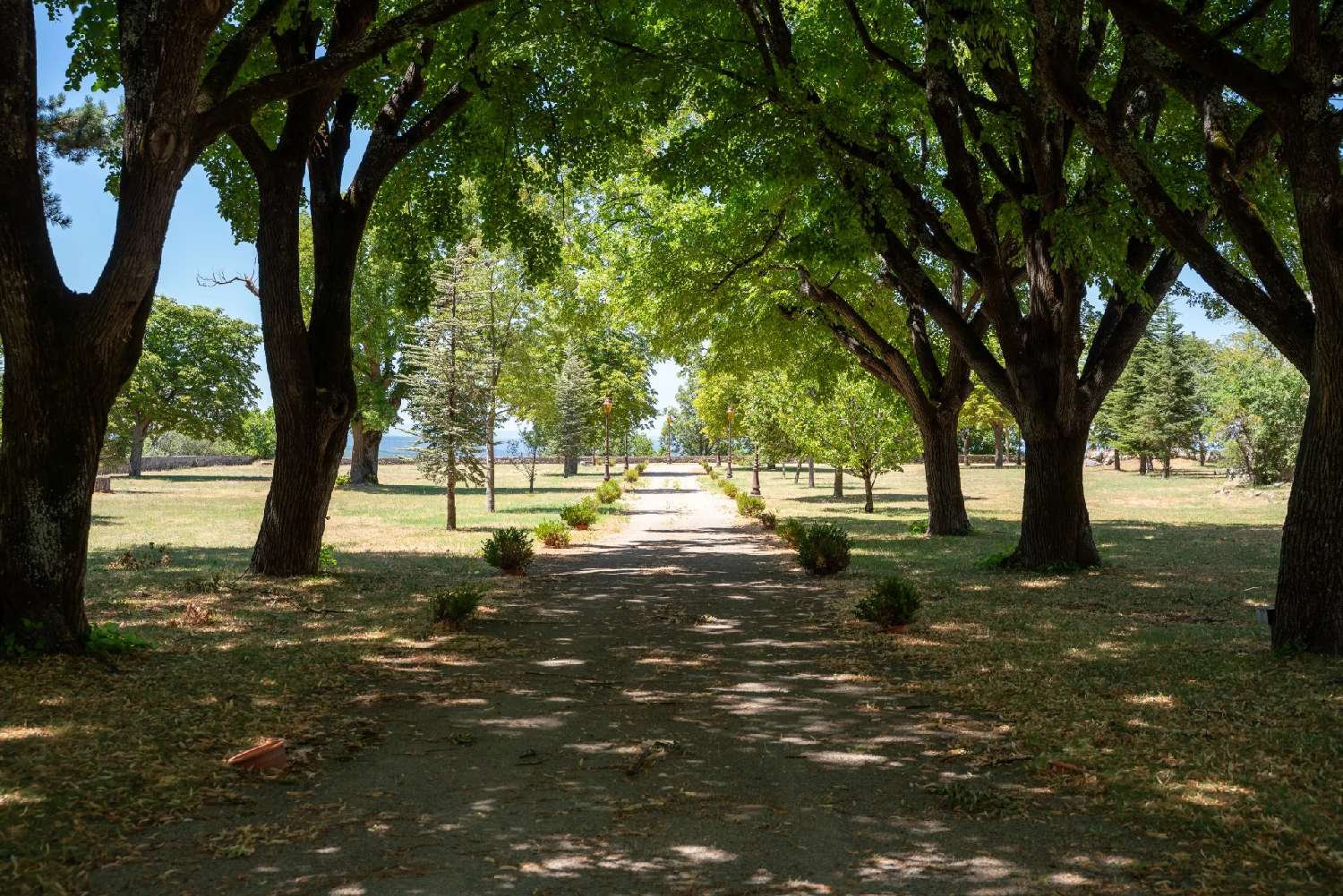 for sale estate Aiguines Var 3