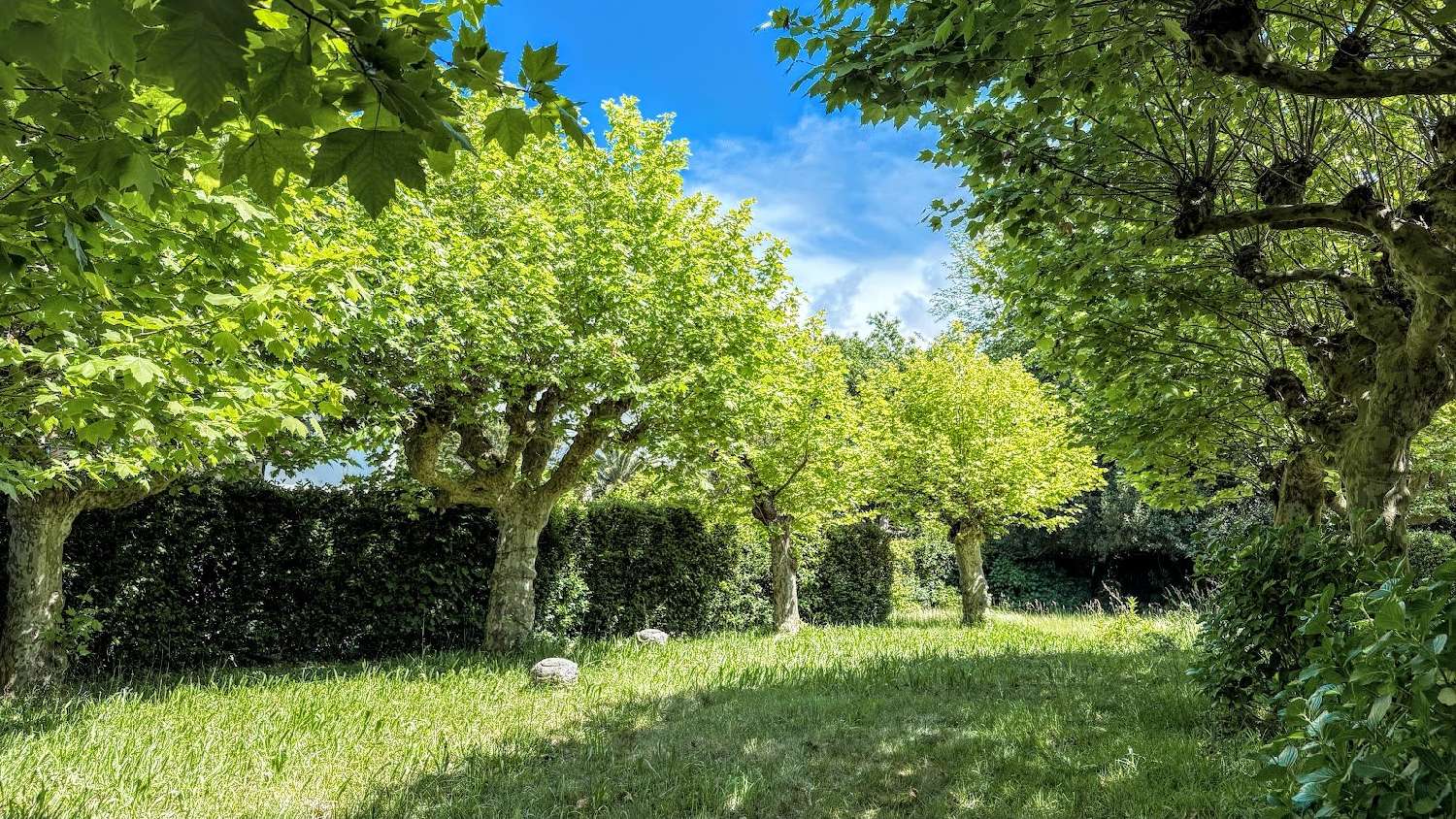  te koop landgoed Anglet Pyrénées-Atlantiques 5