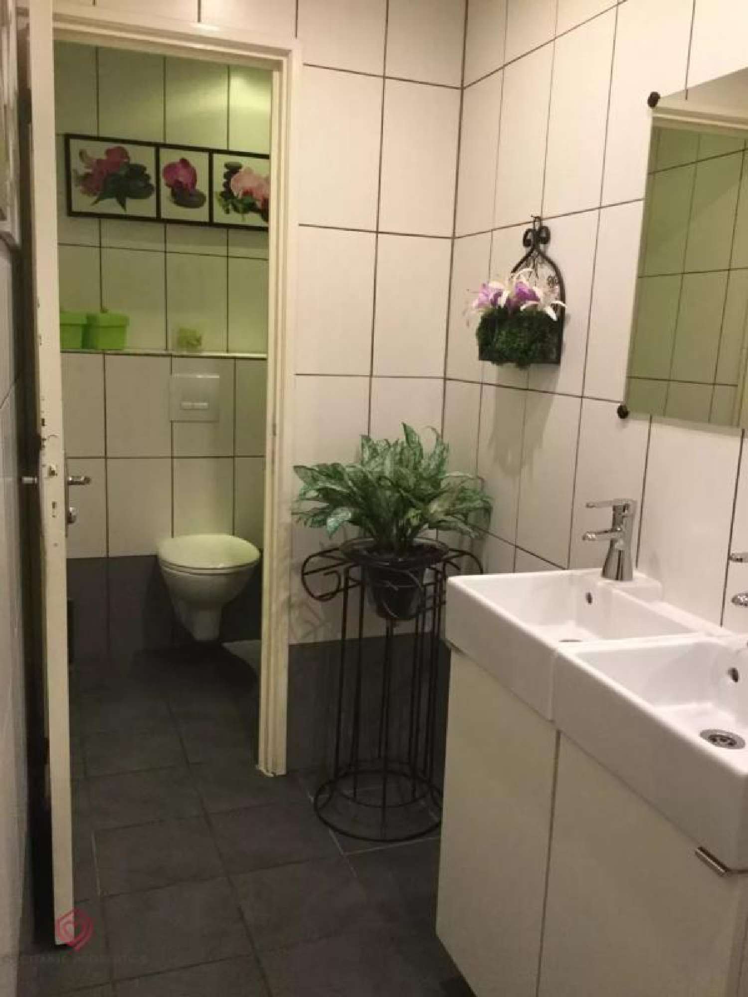  à vendre propriété Blajan Haute-Garonne 8