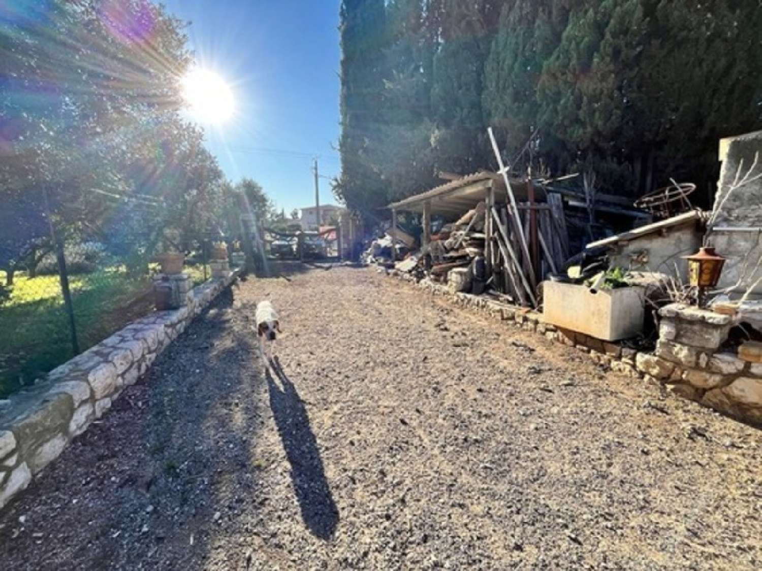 for sale estate Carros Alpes-Maritimes 2