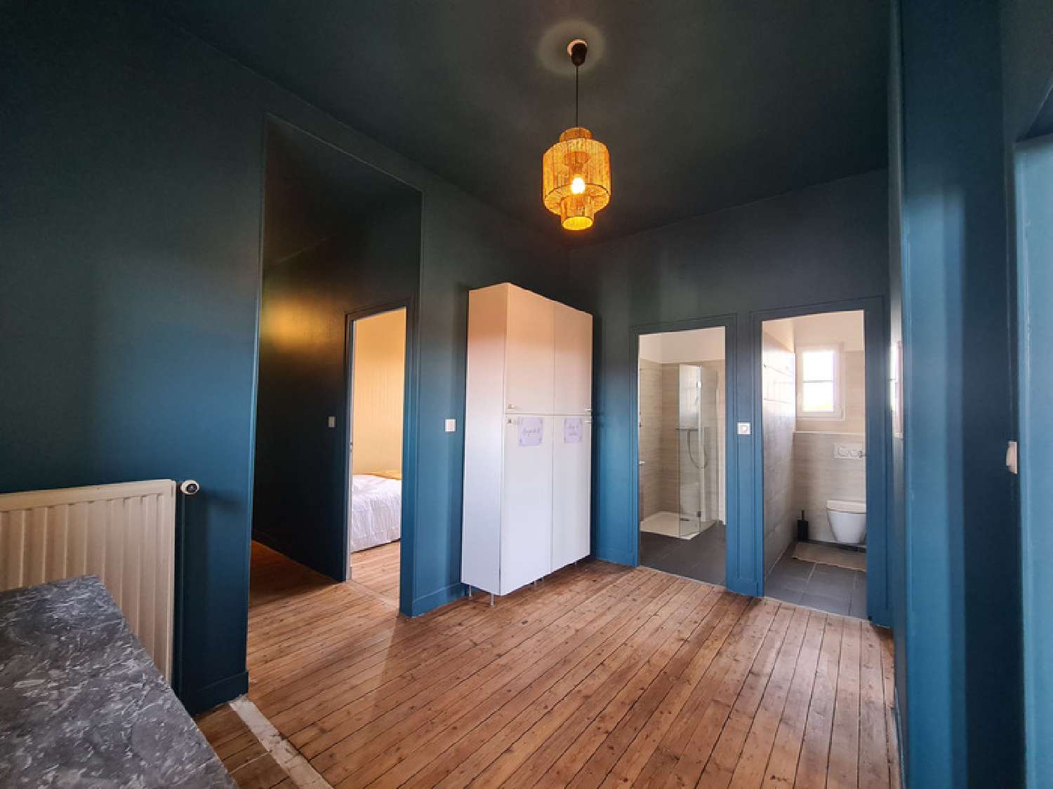  à vendre propriété Chamigny Seine-et-Marne 7