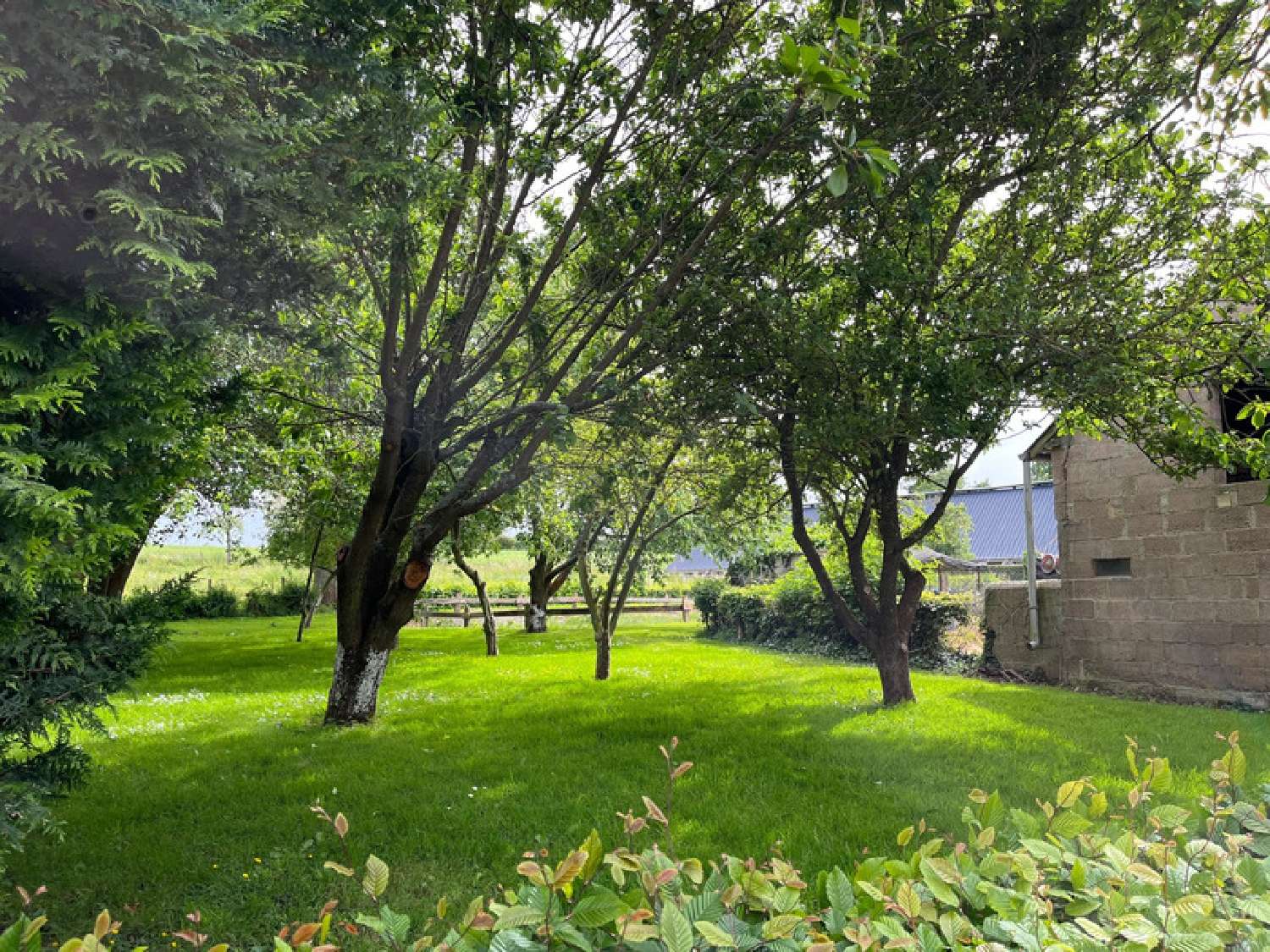  for sale estate Épinay-sur-Odon Calvados 7