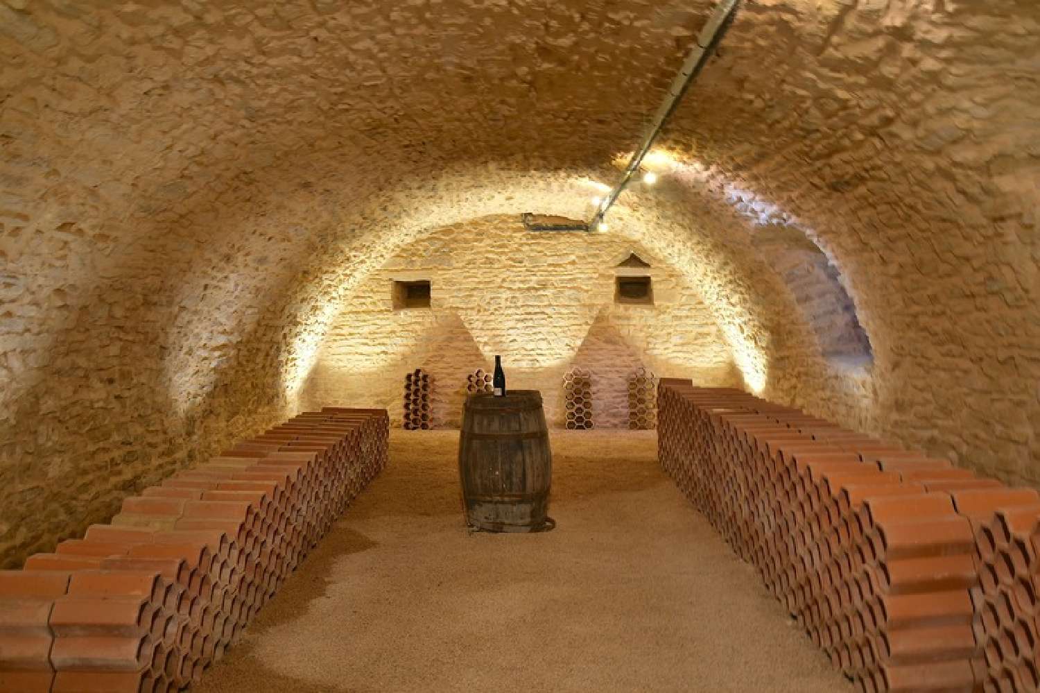 en venta finca rústica Lacenas Rhône 5