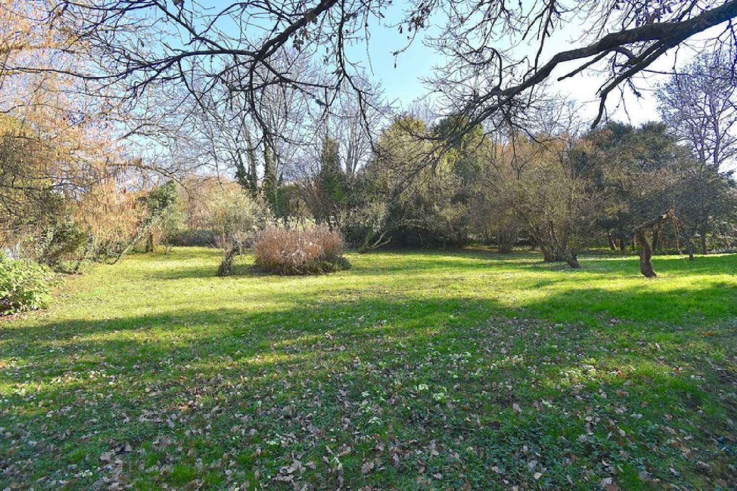 en venta finca rústica Lacenas Rhône 8