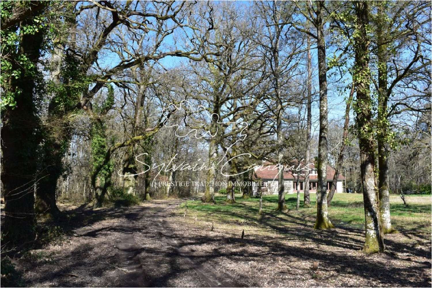 te koop landgoed Lamotte-Beuvron Loir-et-Cher 2