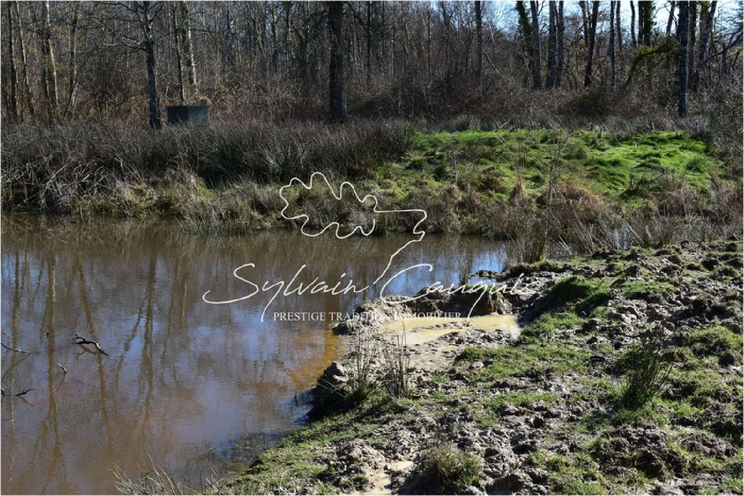 te koop landgoed Lamotte-Beuvron Loir-et-Cher 3