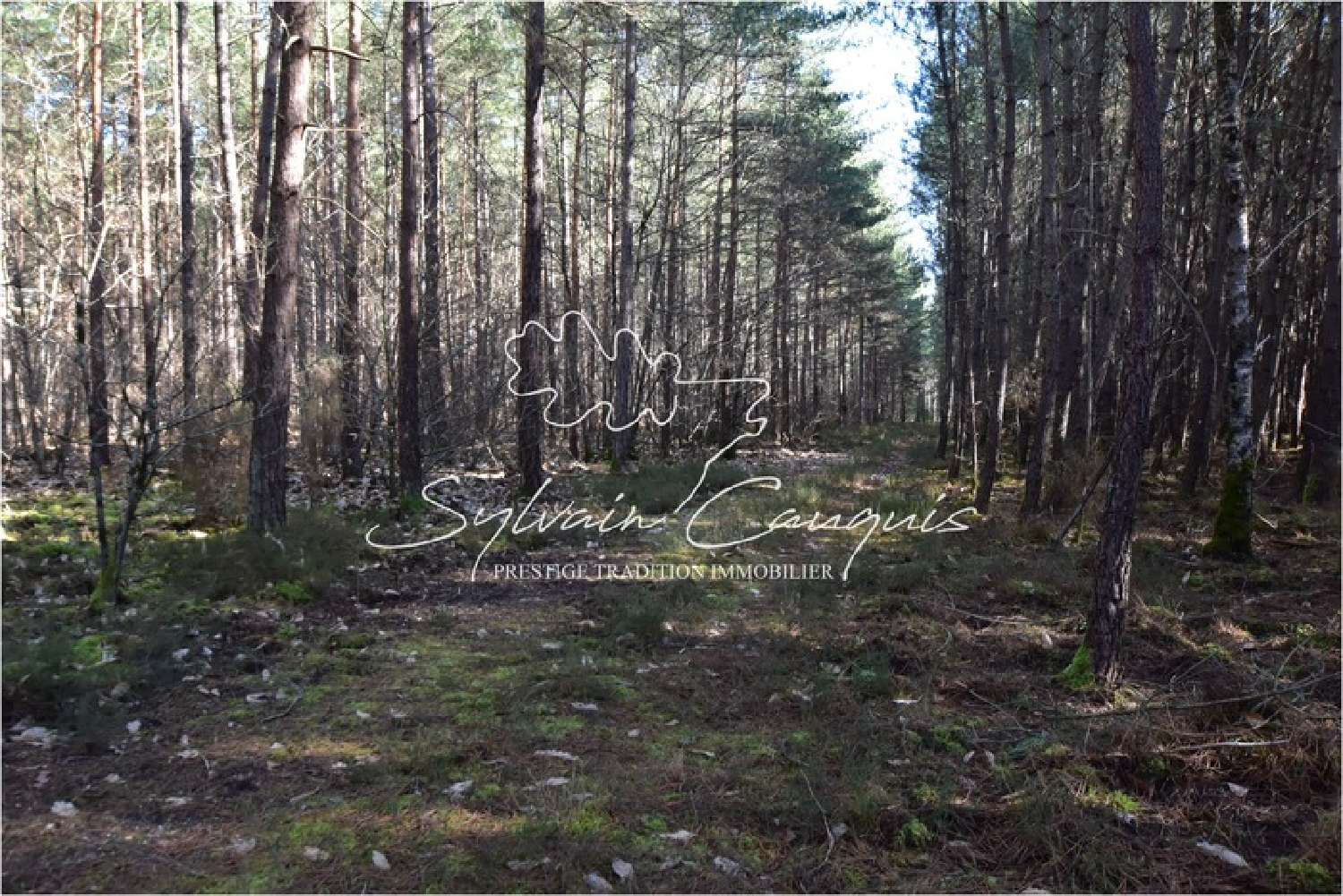 te koop landgoed Lamotte-Beuvron Loir-et-Cher 5