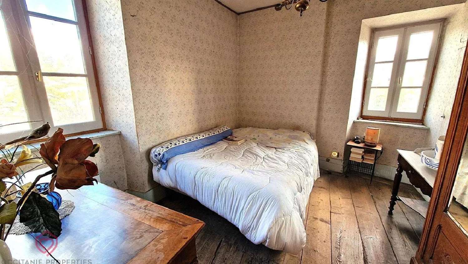  à vendre propriété Le Mas-d'Azil Ariège 5