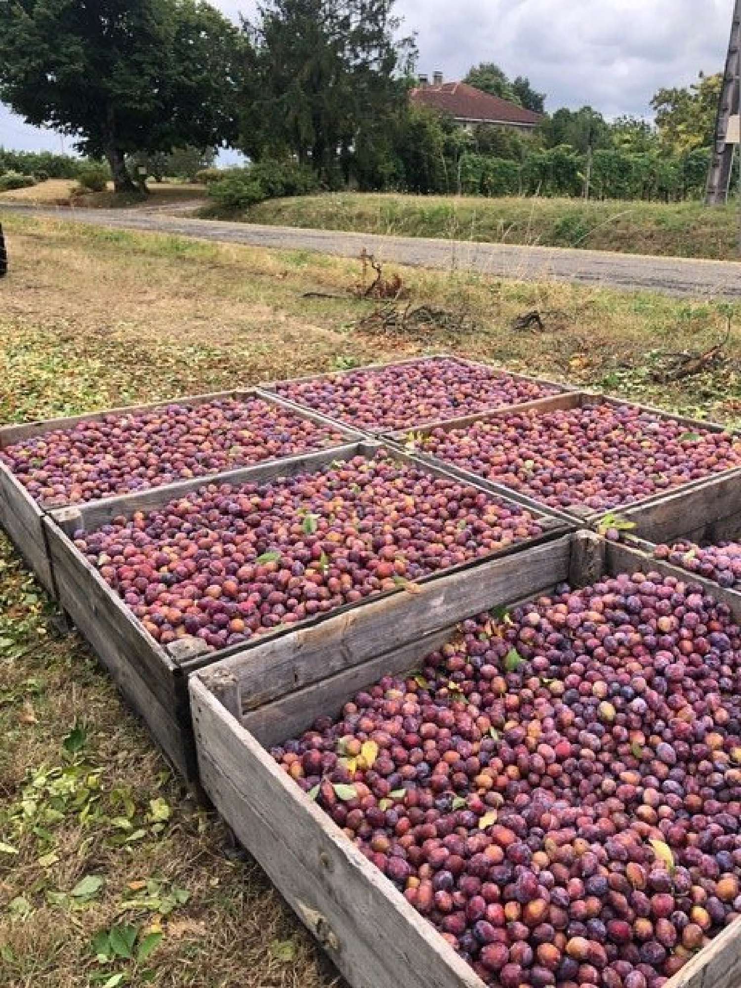  te koop landgoed Mirabel Tarn-et-Garonne 8