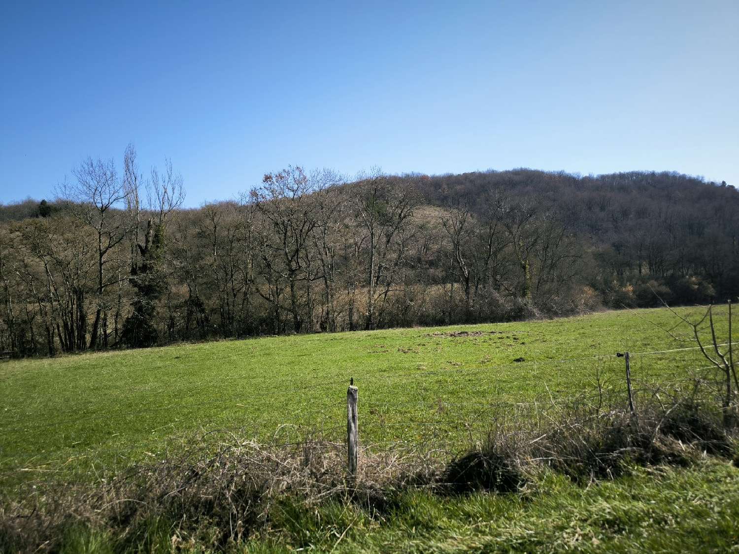 te koop landgoed Mirepoix Ariège 4