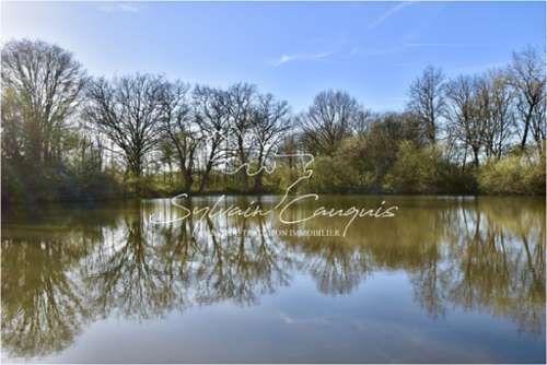 Nevoy Loiret propriété foto 7297544