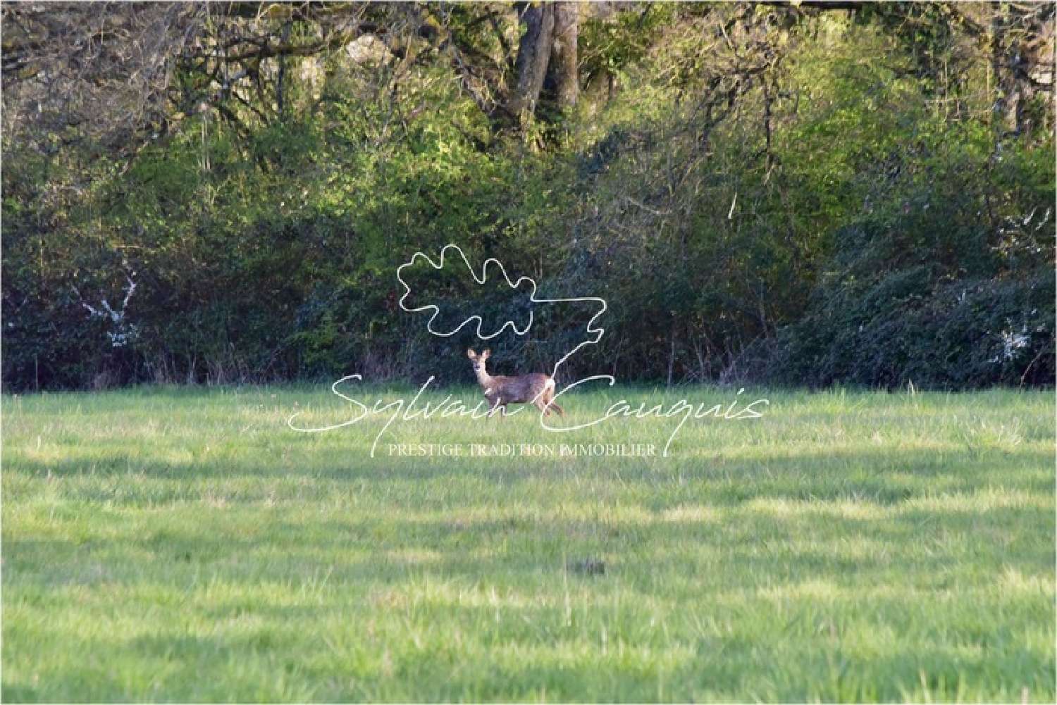  à vendre propriété Nevoy Loiret 2