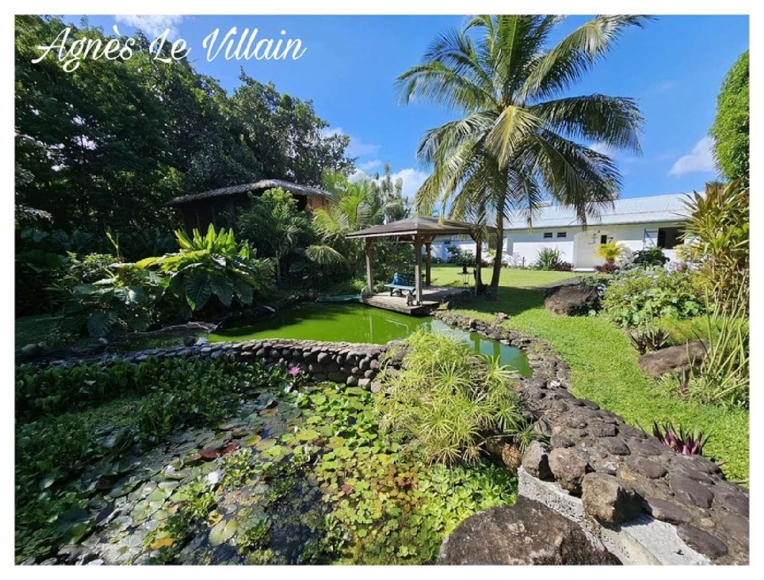  te koop landgoed Pointe-Noire Guadeloupe 8