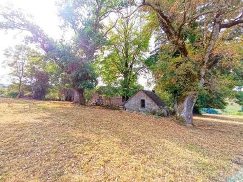 Saint-Martin-Valmeroux Cantal landgoed foto 7291187