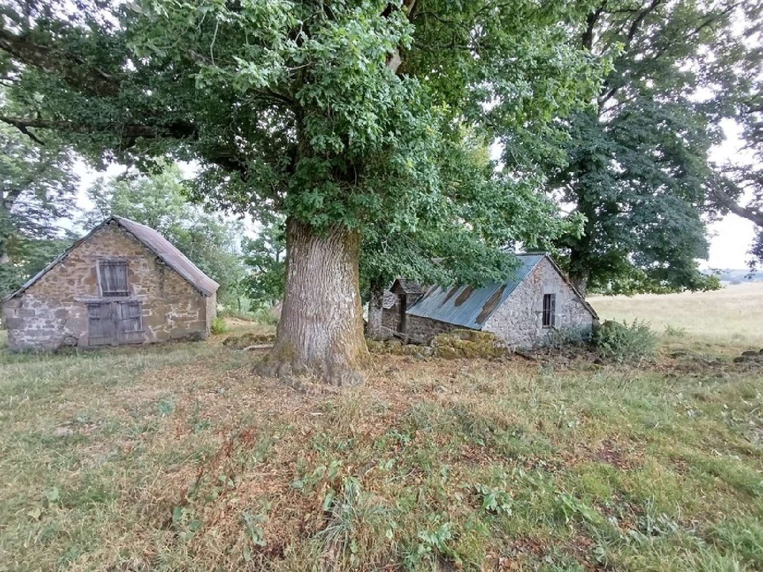  te koop landgoed Saint-Martin-Valmeroux Cantal 2