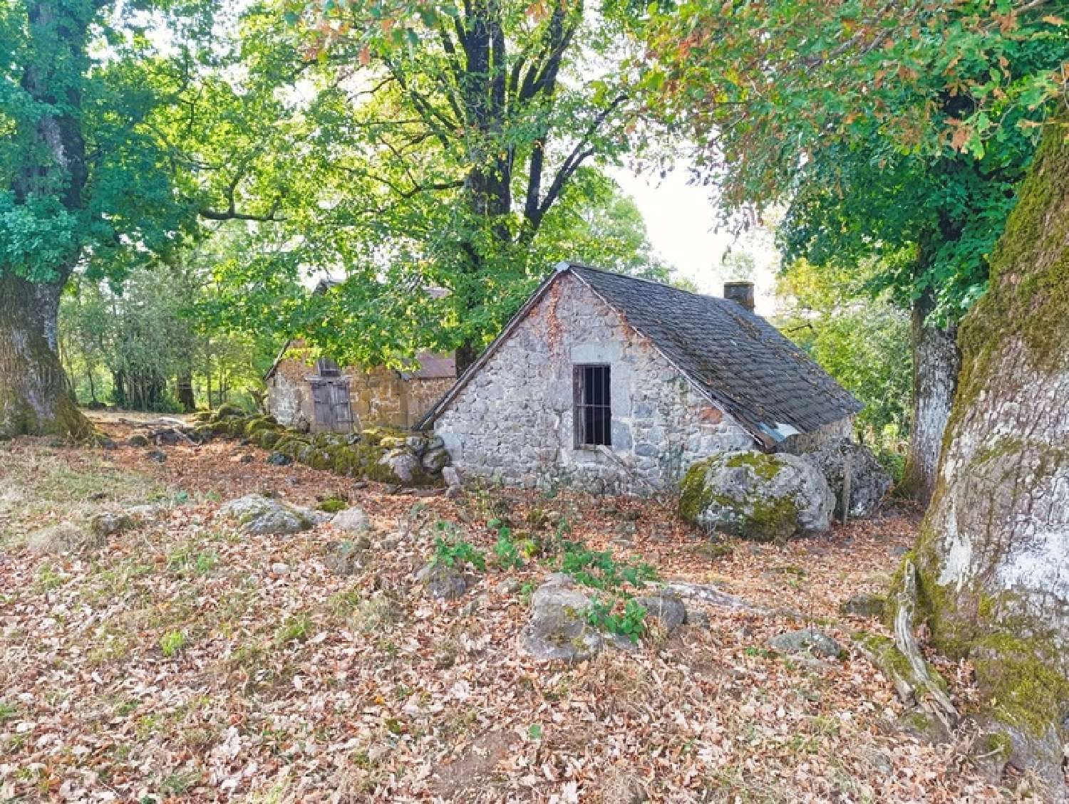  te koop landgoed Saint-Martin-Valmeroux Cantal 4