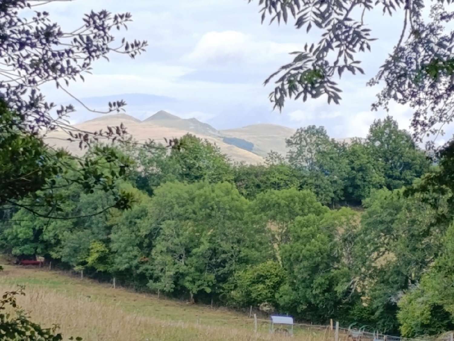  te koop landgoed Saint-Martin-Valmeroux Cantal 5