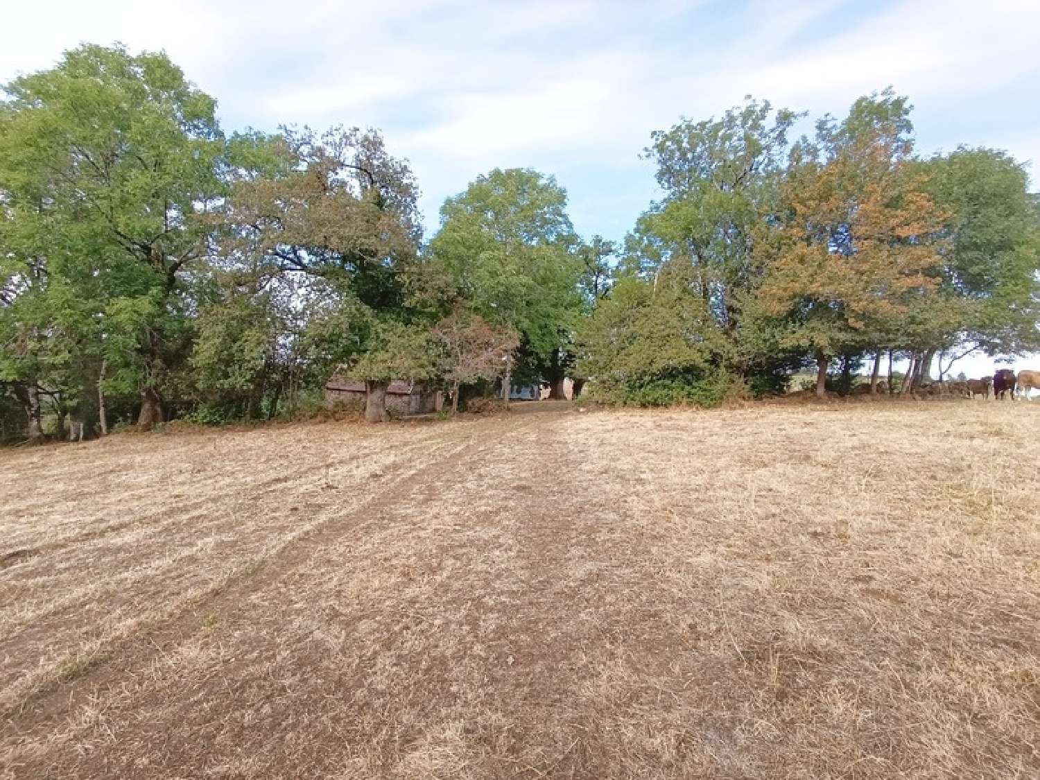  te koop landgoed Saint-Martin-Valmeroux Cantal 6