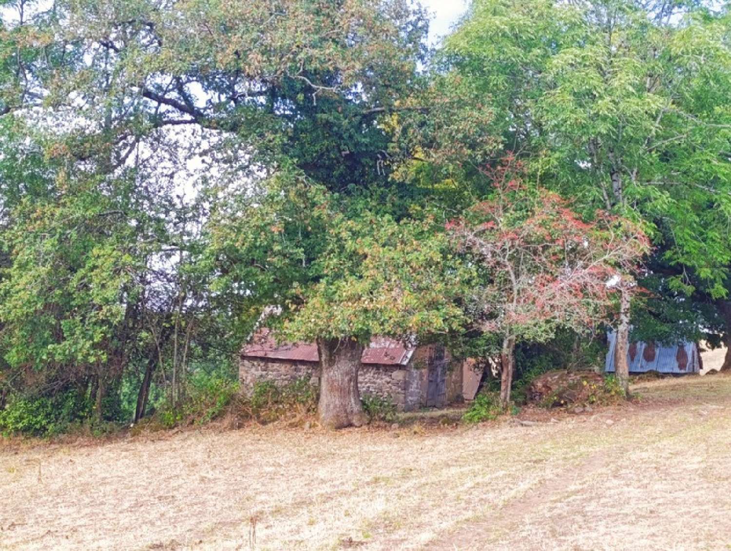  te koop landgoed Saint-Martin-Valmeroux Cantal 7