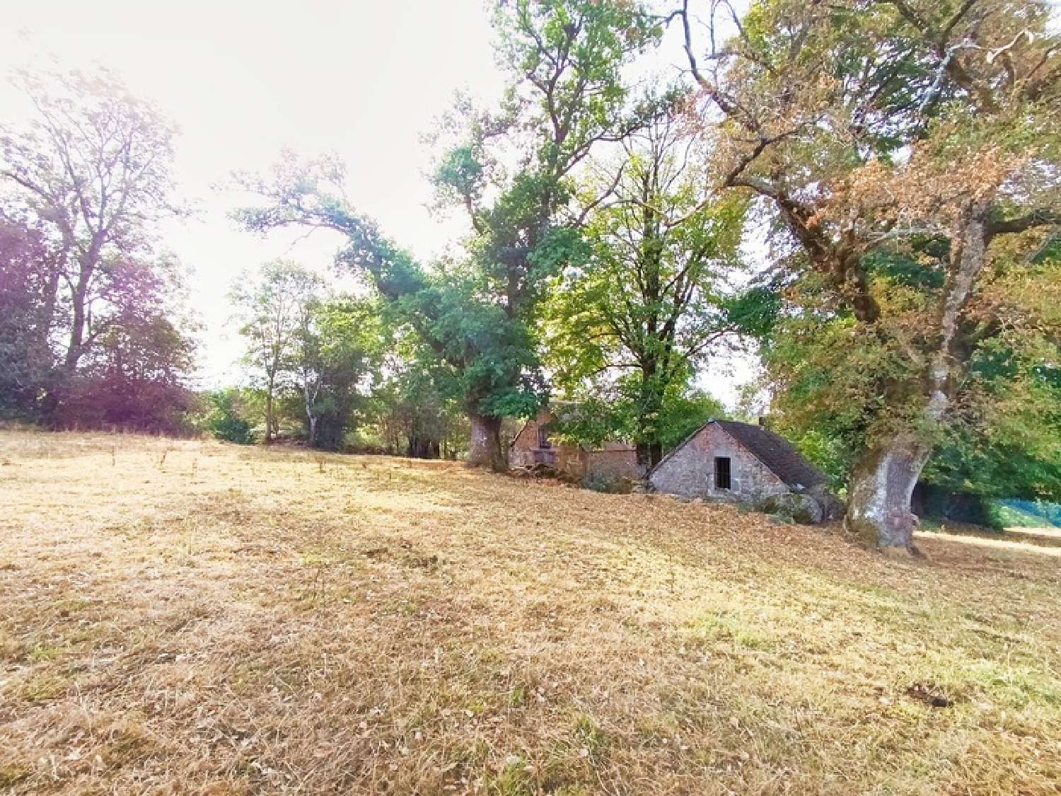  te koop landgoed Saint-Martin-Valmeroux Cantal 8