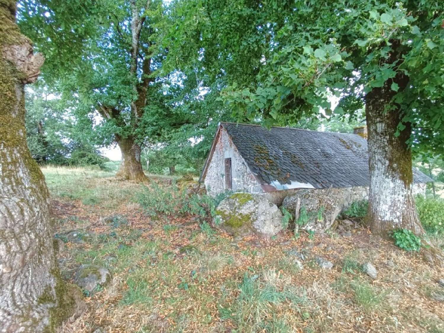  te koop landgoed Saint-Martin-Valmeroux Cantal 1