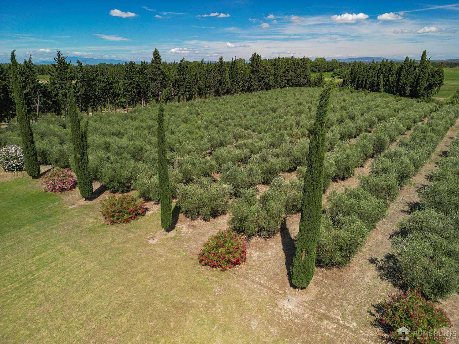  en venta finca rústica Saint-Rémy-de-Provence Bocas del Ródano 6