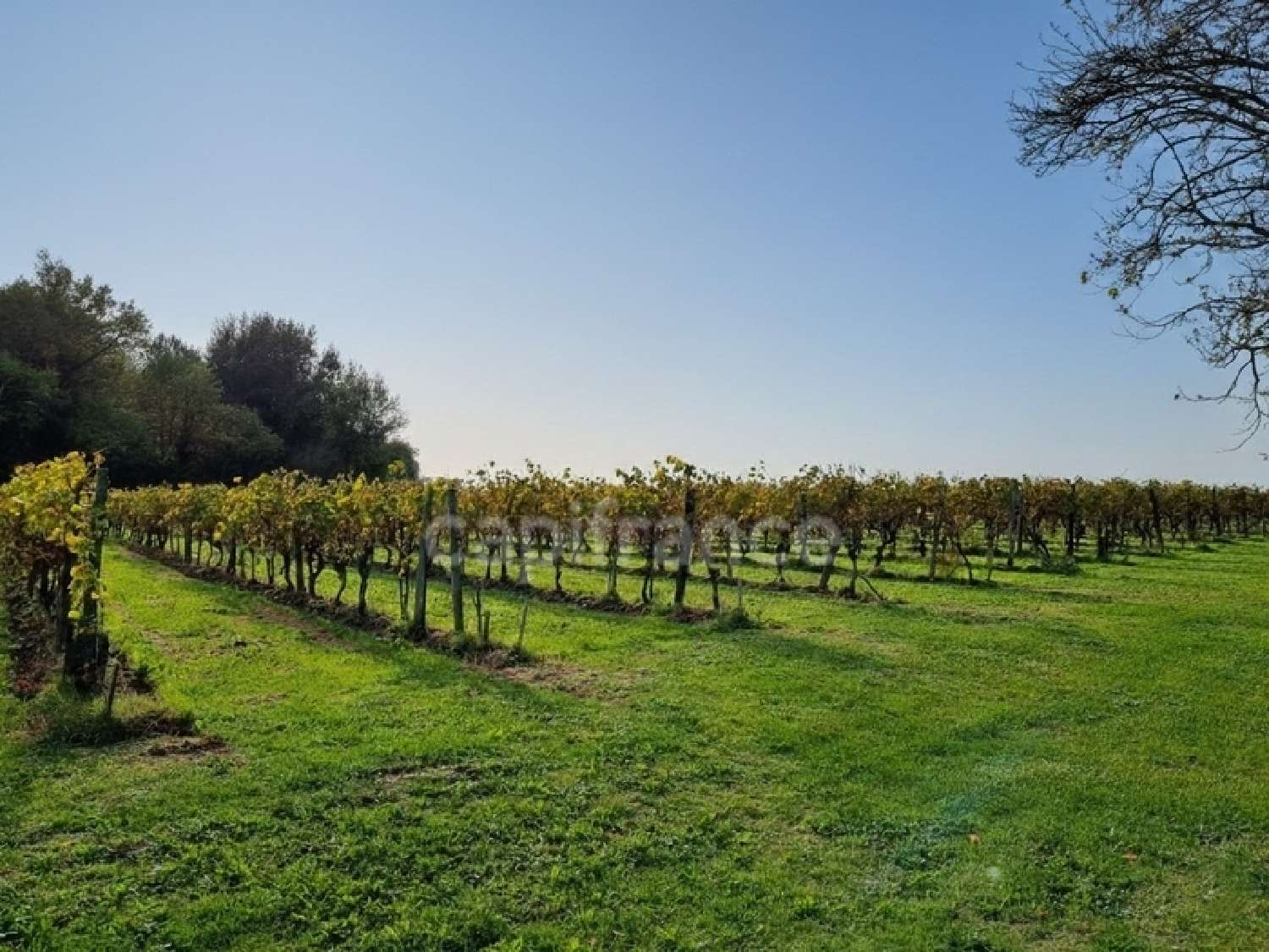  for sale estate Vanzac Charente-Maritime 8