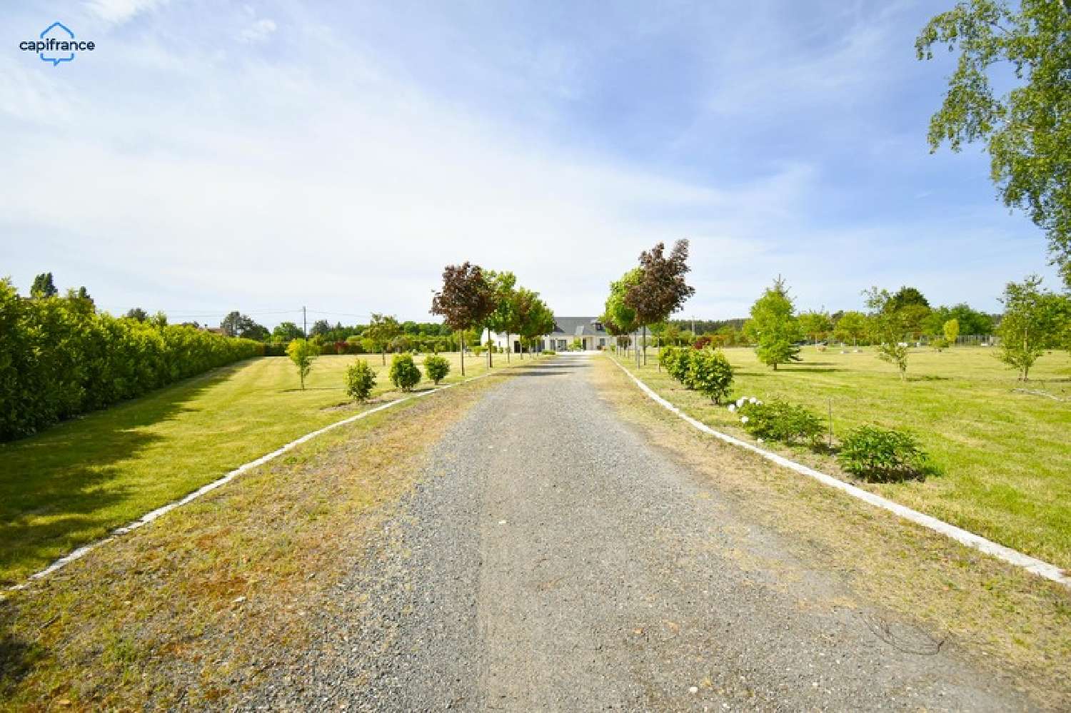  en venta finca rústica Vernou-en-Sologne Loir-et-Cher 2