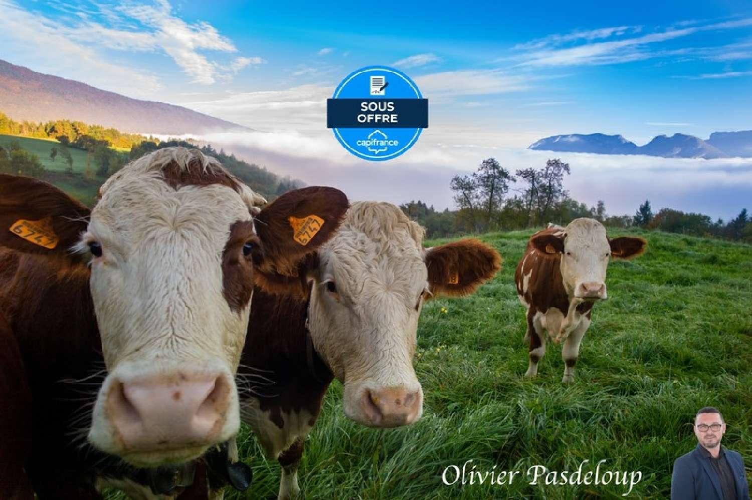 for sale farm Antully Saône-et-Loire 1