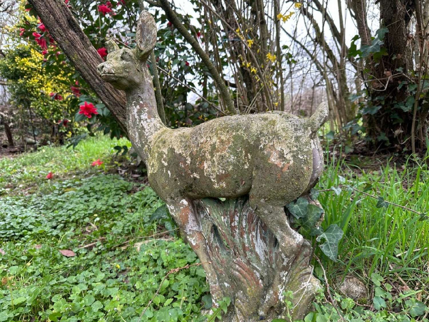  en venta casa rústica Aubarède Hautes-Pyrénées 3