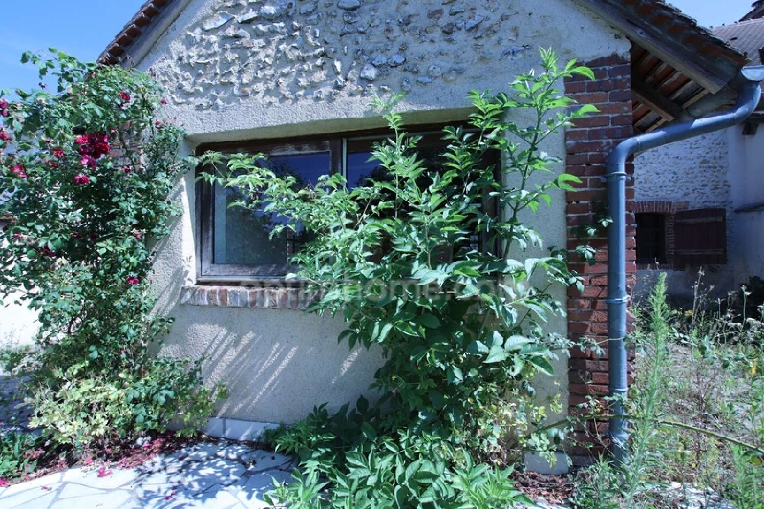  à vendre ferme Aubigny-sur-Nère Cher 2