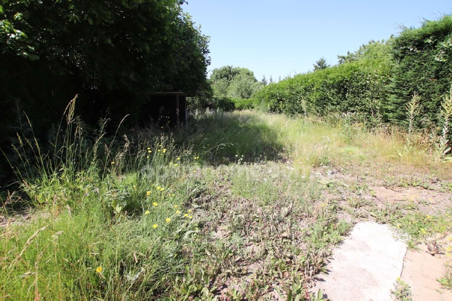  à vendre ferme Aubigny-sur-Nère Cher 6