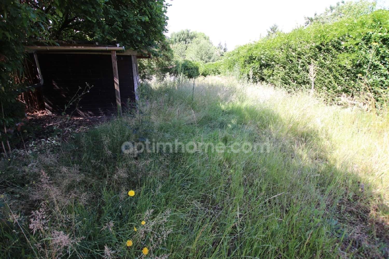  à vendre ferme Aubigny-sur-Nère Cher 7