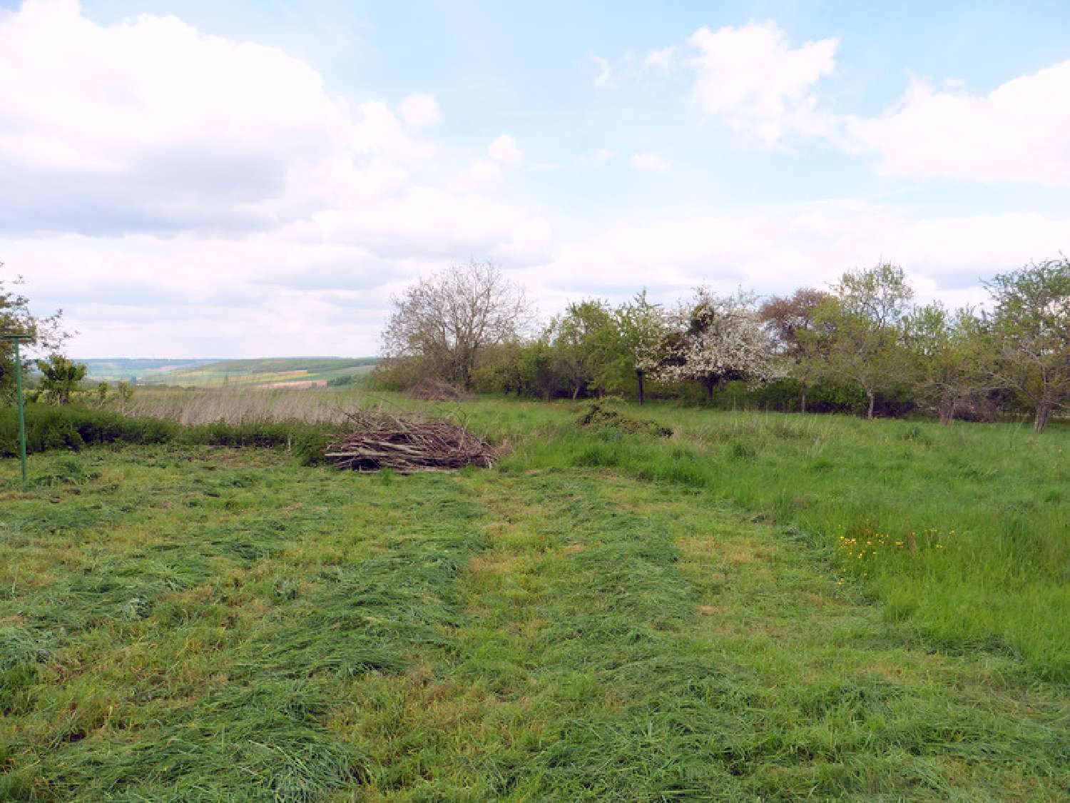  kaufen Bauernhof Cerisiers Yonne 3