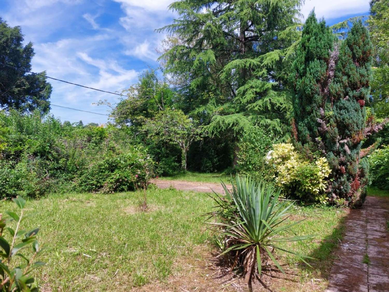  for sale farm Châteauneuf-Val-de-Bargis Nièvre 2