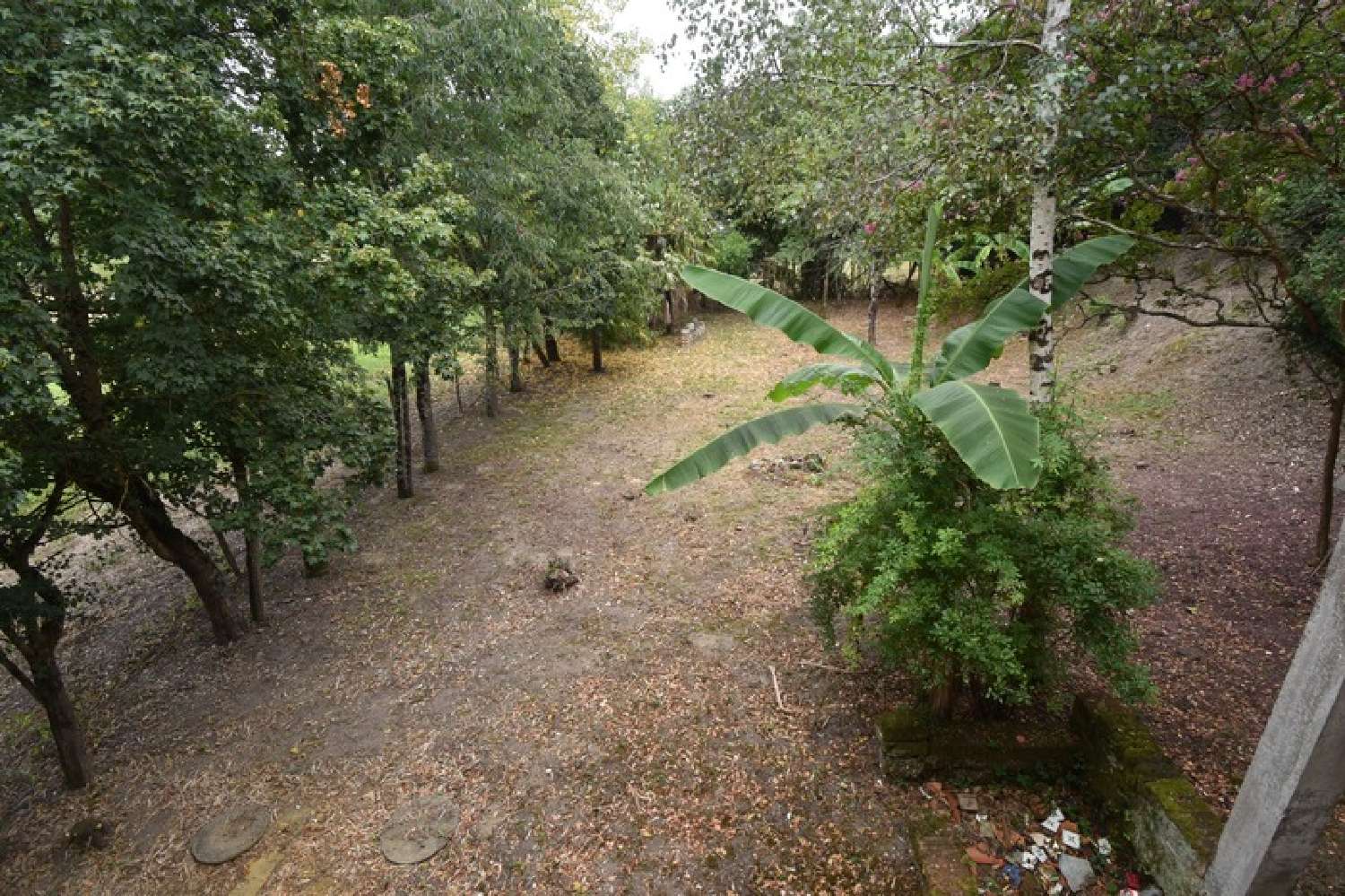 te koop boerderij Damazan Lot-et-Garonne 5