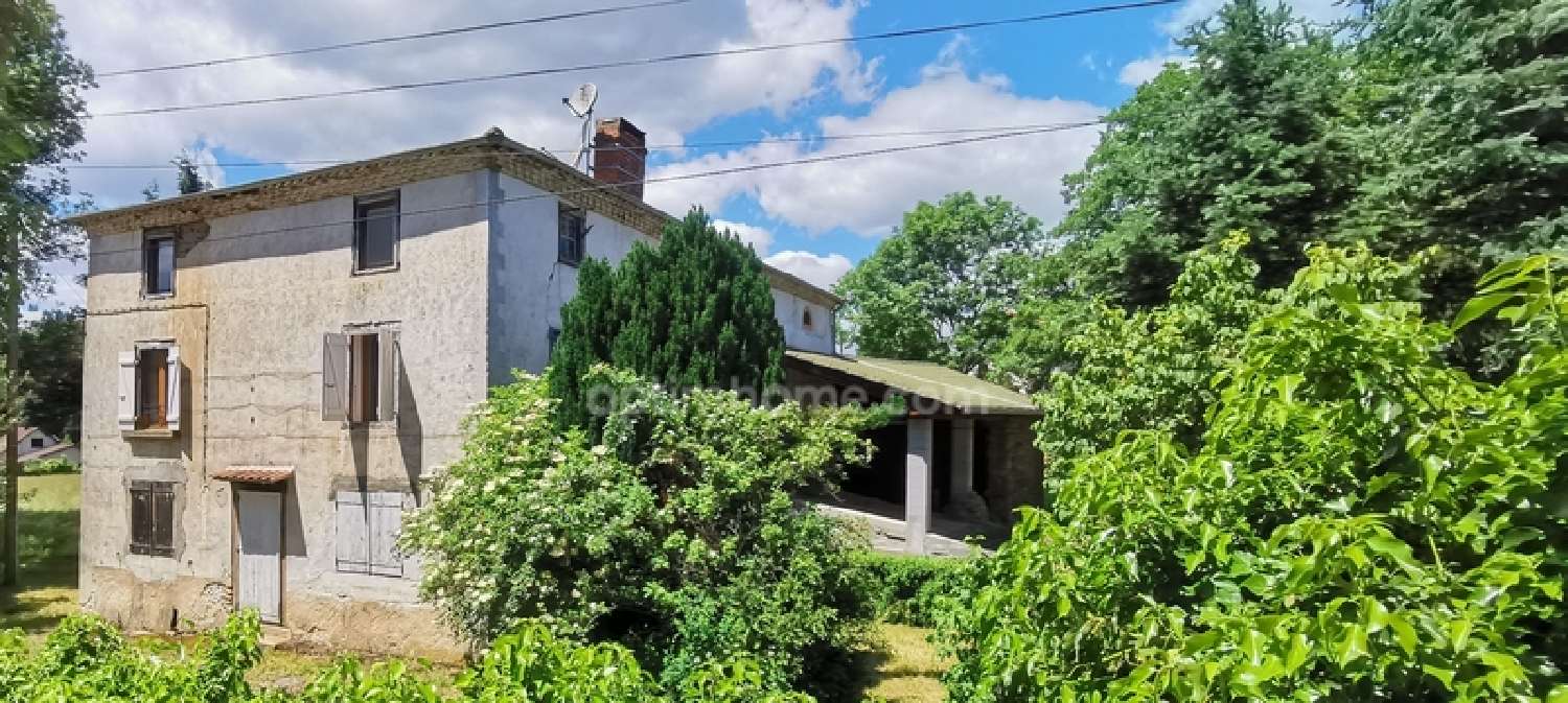  à vendre ferme Dore-l'Église Puy-de-Dôme 1