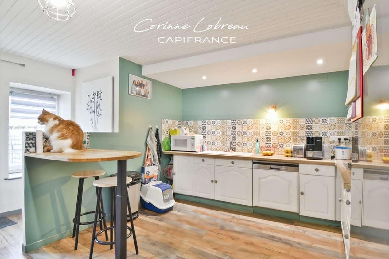  for sale farm Durette Rhône 5