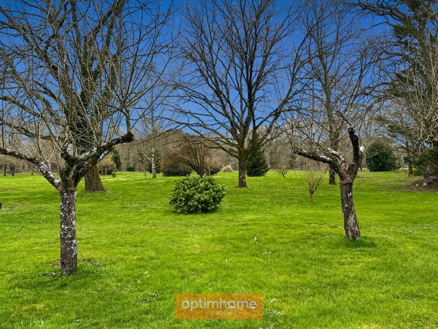  kaufen Bauernhof Gabarret Landes 5