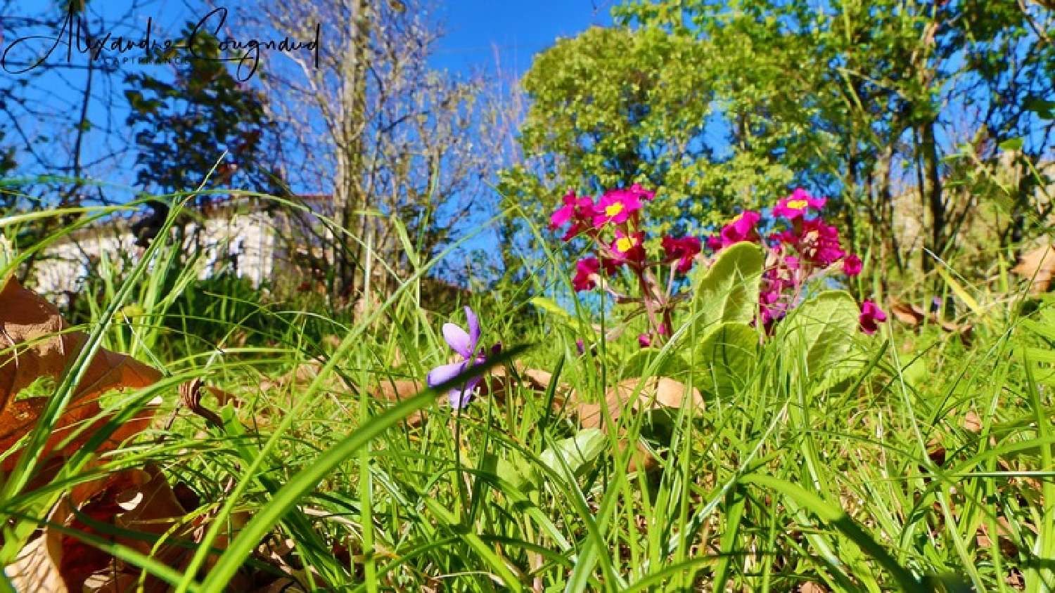 kaufen Bauernhof Montégut-Lauragais Haute-Garonne 7
