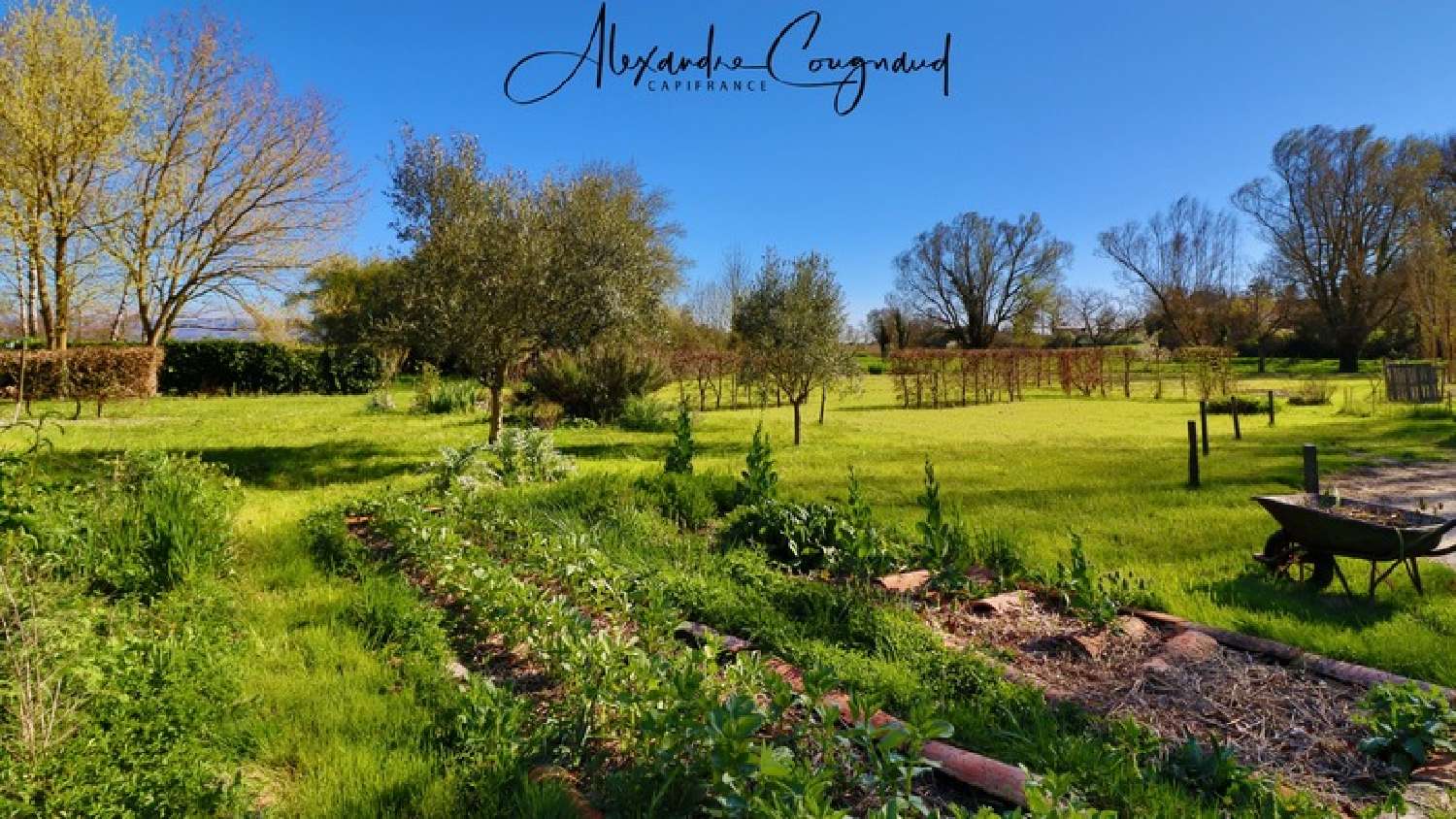 kaufen Bauernhof Montégut-Lauragais Haute-Garonne 8